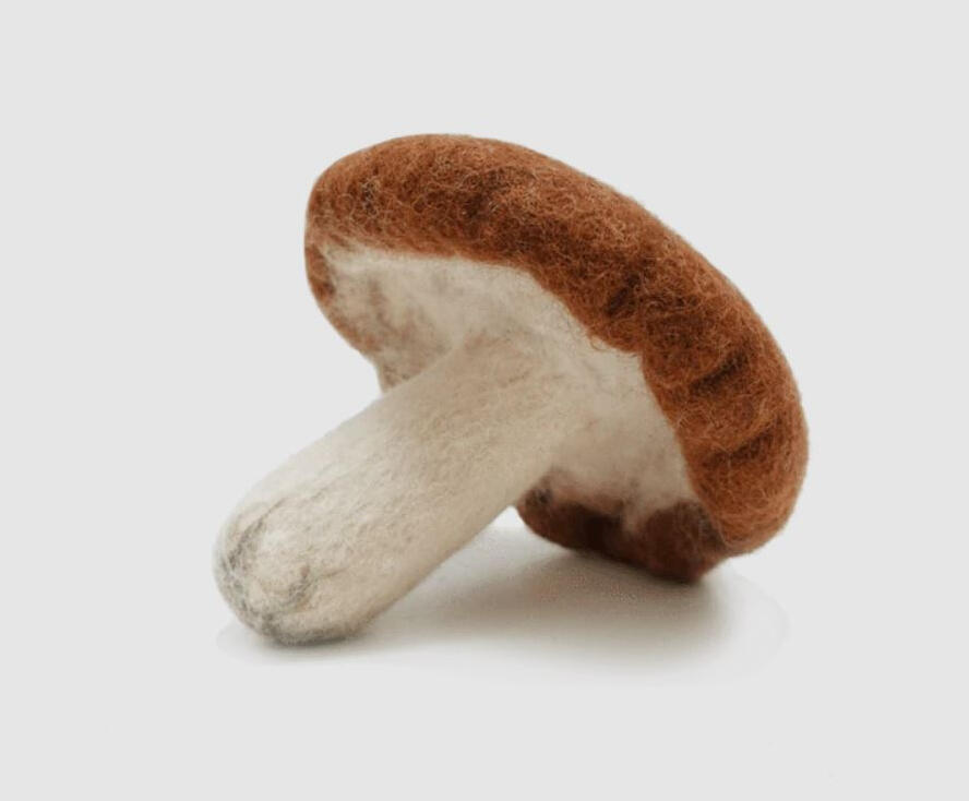 Mushroom Felt Toy